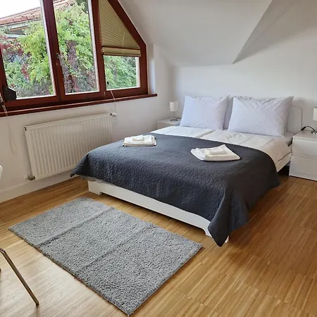 Szamosvilla - Bbq, 8bdrm, Very Close To Center